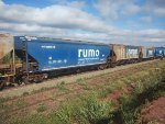RUMO HTT-350951-6